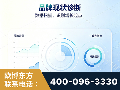 海伦-品牌现状诊断