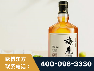 海伦-梅见青梅酒